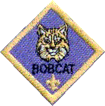 Bobcat - First Rank